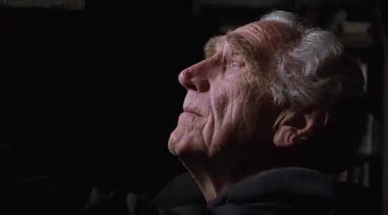 布鲁克斯望向围墙之外